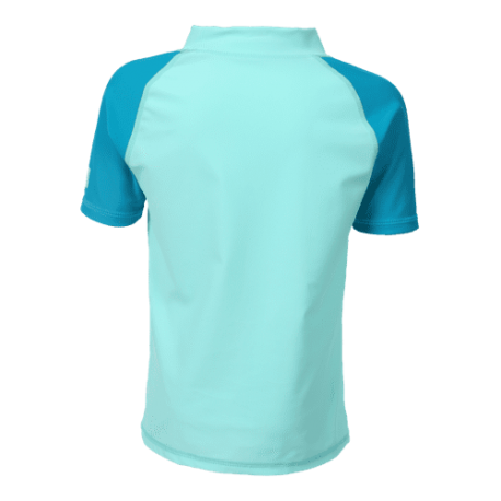 Badpak Strawberries Badpak Strawberries